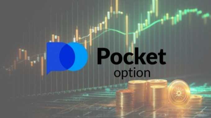 Everything You Need to Know About Broker Pocket Option 1475631610 Everything You Need to Know About Broker Pocket Option 1475631610