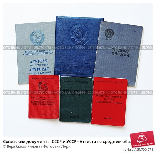 Купить диплом МИ ИНФО-Рутения -541616045 Купить диплом МИ ИНФО-Рутения -541616045